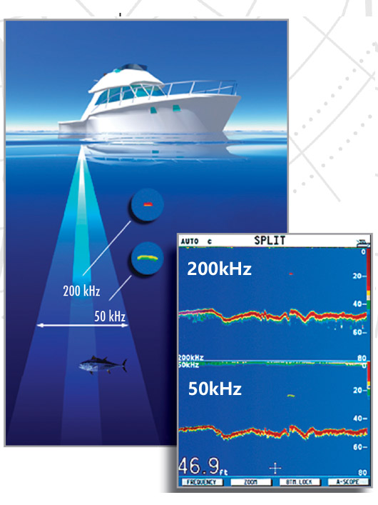 環境氣象|空氣質量|海洋環境|水質水文|植物生態