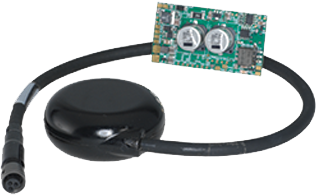 環(huán)境氣象|空氣質量|海洋環(huán)境|水質水文|植物生態(tài) 環(huán)境氣象|空氣質量|海洋環(huán)境|水質水文|植物生態(tài)